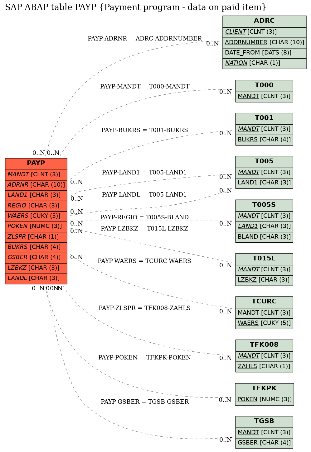 E-R Diagram for table PAYP (Payment program - data on paid item)