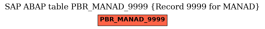 E-R Diagram for table PBR_MANAD_9999 (Record 9999 for MANAD)