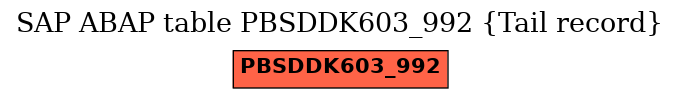 E-R Diagram for table PBSDDK603_992 (Tail record)