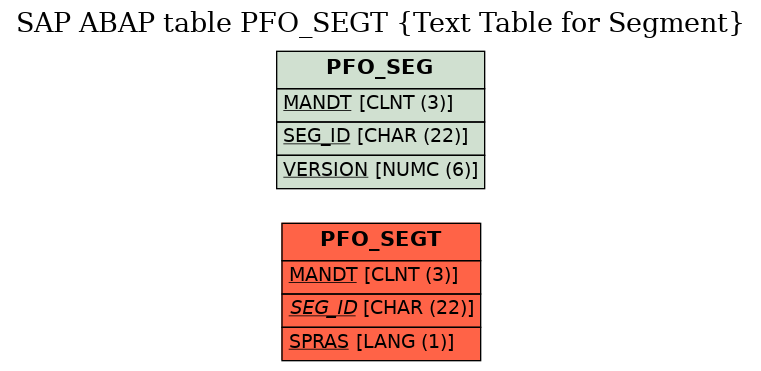 E-R Diagram for table PFO_SEGT (Text Table for Segment)