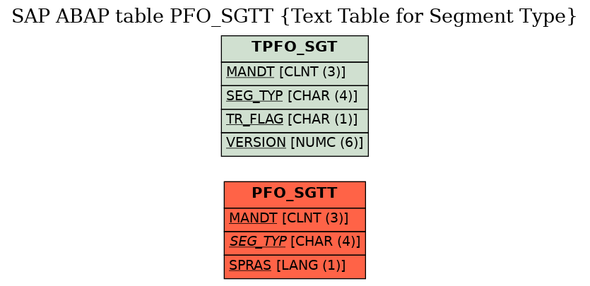 E-R Diagram for table PFO_SGTT (Text Table for Segment Type)