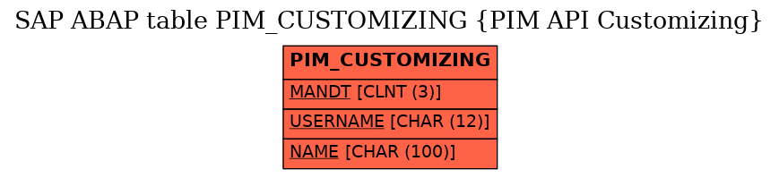 E-R Diagram for table PIM_CUSTOMIZING (PIM API Customizing)