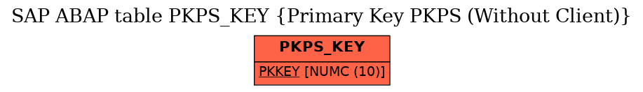 E-R Diagram for table PKPS_KEY (Primary Key PKPS (Without Client))
