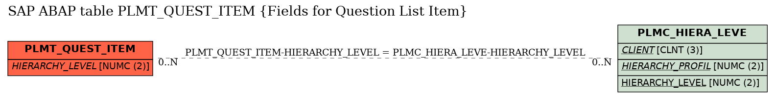 E-R Diagram for table PLMT_QUEST_ITEM (Fields for Question List Item)