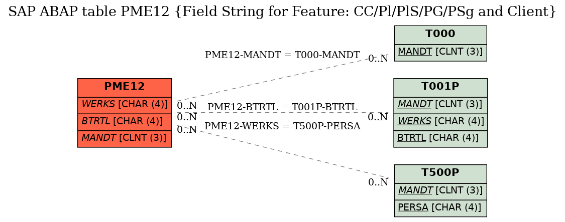 E-R Diagram for table PME12 (Field String for Feature: CC/Pl/PlS/PG/PSg and Client)