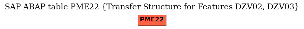 E-R Diagram for table PME22 (Transfer Structure for Features DZV02, DZV03)