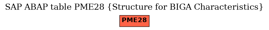 E-R Diagram for table PME28 (Structure for BIGA Characteristics)