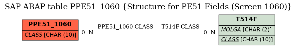 E-R Diagram for table PPE51_1060 (Structure for PE51 Fields (Screen 1060))