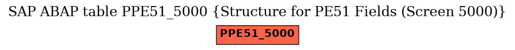 E-R Diagram for table PPE51_5000 (Structure for PE51 Fields (Screen 5000))