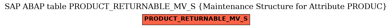 E-R Diagram for table PRODUCT_RETURNABLE_MV_S (Maintenance Structure for Attribute PRODUC)