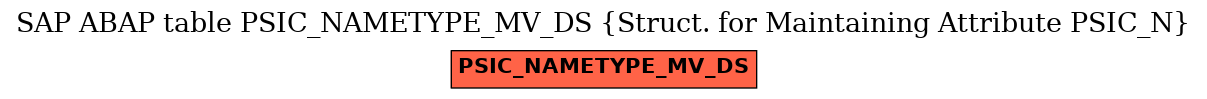 E-R Diagram for table PSIC_NAMETYPE_MV_DS (Struct. for Maintaining Attribute PSIC_N)