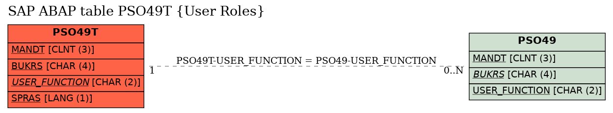 E-R Diagram for table PSO49T (User Roles)