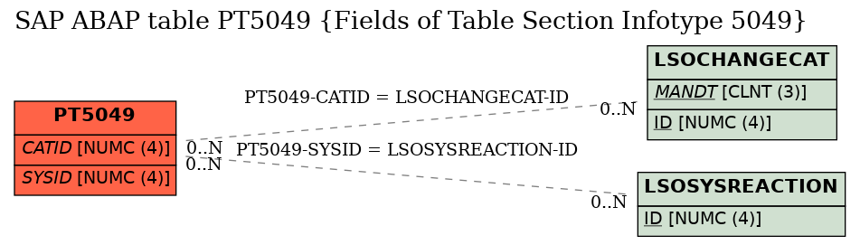 E-R Diagram for table PT5049 (Fields of Table Section Infotype 5049)
