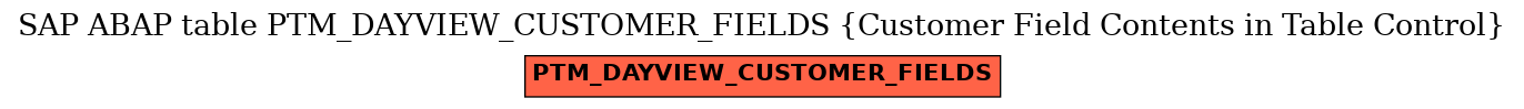 E-R Diagram for table PTM_DAYVIEW_CUSTOMER_FIELDS (Customer Field Contents in Table Control)