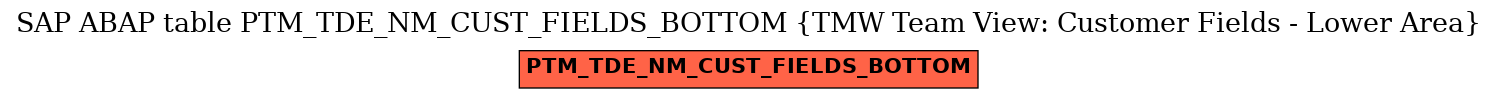 E-R Diagram for table PTM_TDE_NM_CUST_FIELDS_BOTTOM (TMW Team View: Customer Fields - Lower Area)