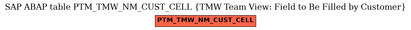 E-R Diagram for table PTM_TMW_NM_CUST_CELL (TMW Team View: Field to Be Filled by Customer)