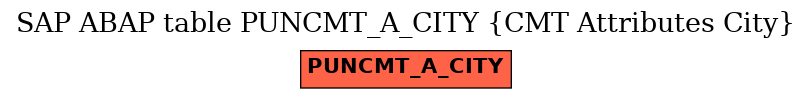 E-R Diagram for table PUNCMT_A_CITY (CMT Attributes City)