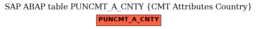 E-R Diagram for table PUNCMT_A_CNTY (CMT Attributes Country)