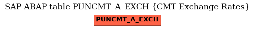 E-R Diagram for table PUNCMT_A_EXCH (CMT Exchange Rates)