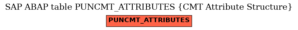 E-R Diagram for table PUNCMT_ATTRIBUTES (CMT Attribute Structure)