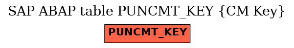 E-R Diagram for table PUNCMT_KEY (CM Key)