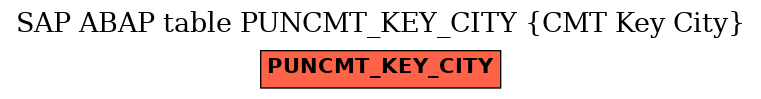 E-R Diagram for table PUNCMT_KEY_CITY (CMT Key City)