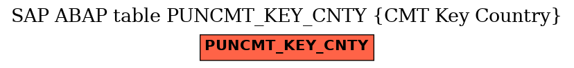 E-R Diagram for table PUNCMT_KEY_CNTY (CMT Key Country)