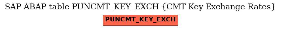 E-R Diagram for table PUNCMT_KEY_EXCH (CMT Key Exchange Rates)