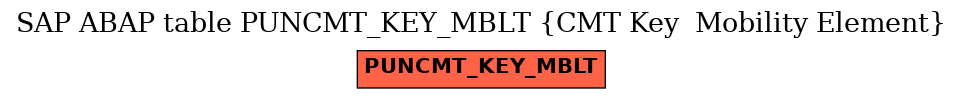 E-R Diagram for table PUNCMT_KEY_MBLT (CMT Key  Mobility Element)