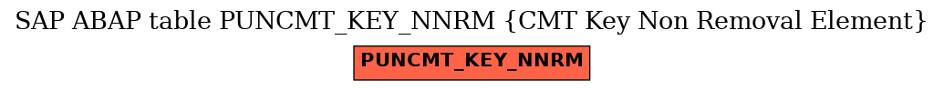 E-R Diagram for table PUNCMT_KEY_NNRM (CMT Key Non Removal Element)