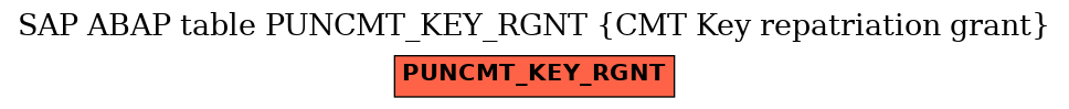 E-R Diagram for table PUNCMT_KEY_RGNT (CMT Key repatriation grant)