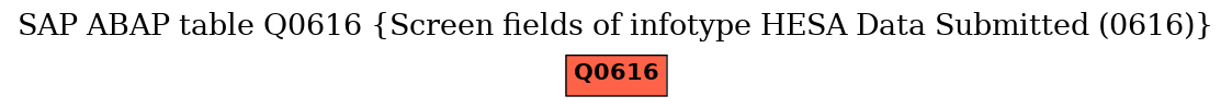 E-R Diagram for table Q0616 (Screen fields of infotype HESA Data Submitted (0616))