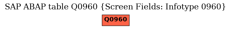 E-R Diagram for table Q0960 (Screen Fields: Infotype 0960)