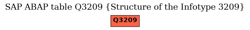 E-R Diagram for table Q3209 (Structure of the Infotype 3209)