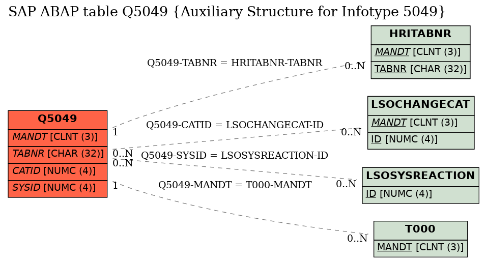 E-R Diagram for table Q5049 (Auxiliary Structure for Infotype 5049)