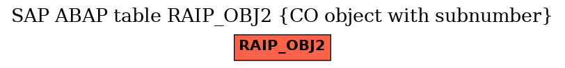 E-R Diagram for table RAIP_OBJ2 (CO object with subnumber)