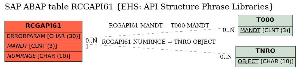E-R Diagram for table RCGAPI61 (EHS: API Structure Phrase Libraries)