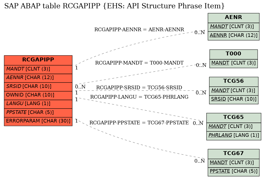 E-R Diagram for table RCGAPIPP (EHS: API Structure Phrase Item)