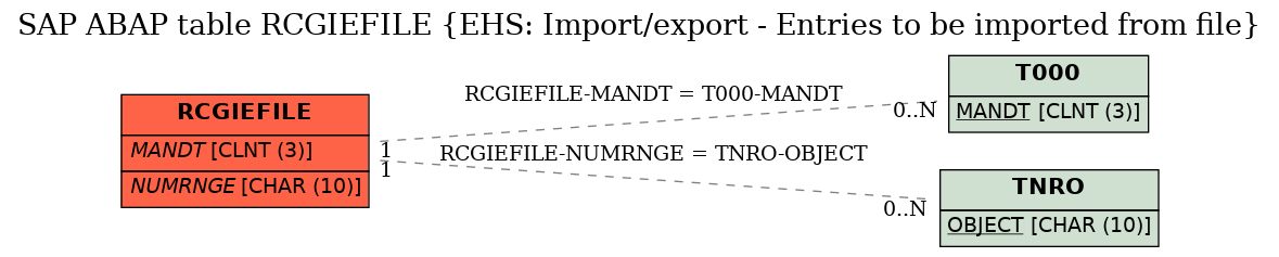 E-R Diagram for table RCGIEFILE (EHS: Import/export - Entries to be imported from file)