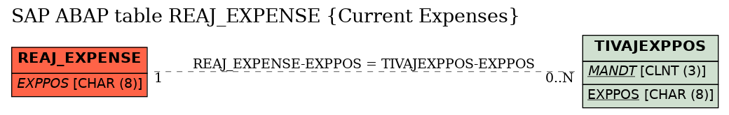 E-R Diagram for table REAJ_EXPENSE (Current Expenses)