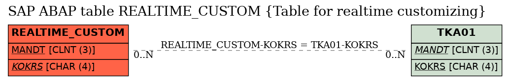 E-R Diagram for table REALTIME_CUSTOM (Table for realtime customizing)