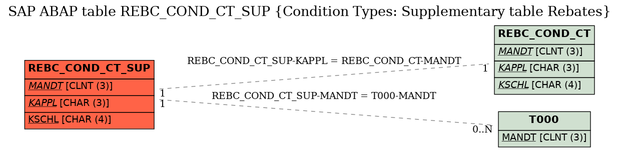 E-R Diagram for table REBC_COND_CT_SUP (Condition Types: Supplementary table Rebates)