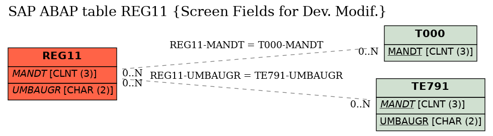 E-R Diagram for table REG11 (Screen Fields for Dev. Modif.)