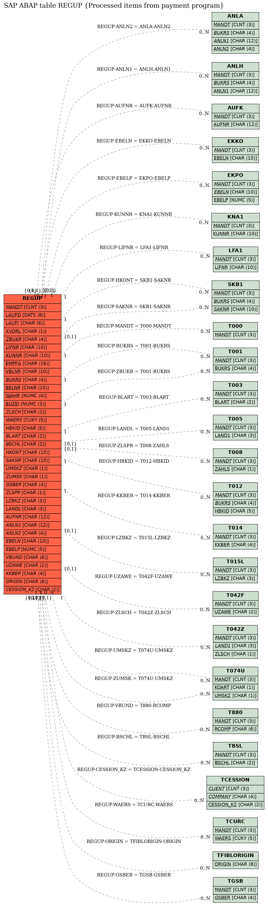 E-R Diagram for table REGUP (Processed items from payment program)