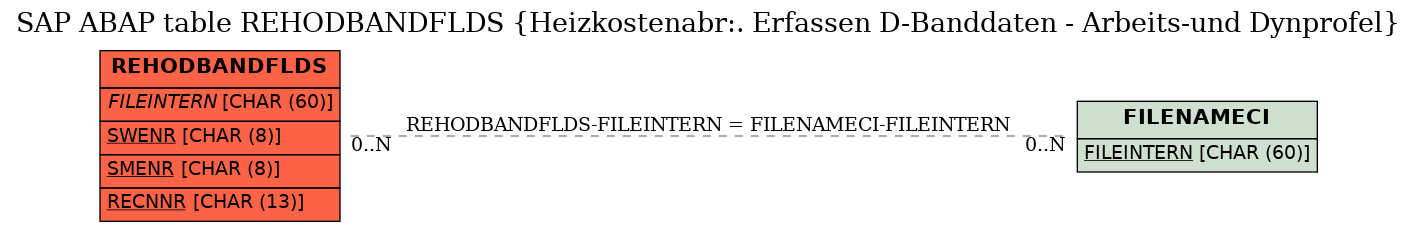 E-R Diagram for table REHODBANDFLDS (Heizkostenabr:. Erfassen D-Banddaten - Arbeits-und Dynprofel)