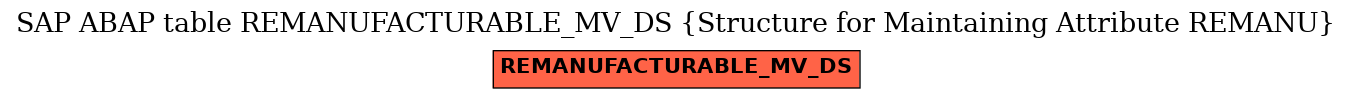 E-R Diagram for table REMANUFACTURABLE_MV_DS (Structure for Maintaining Attribute REMANU)