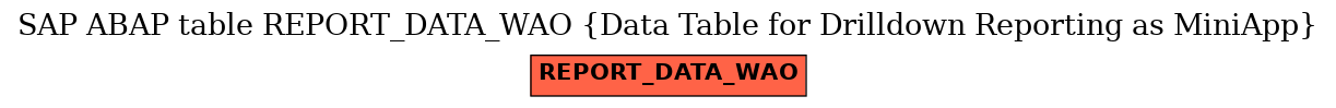 E-R Diagram for table REPORT_DATA_WAO (Data Table for Drilldown Reporting as MiniApp)