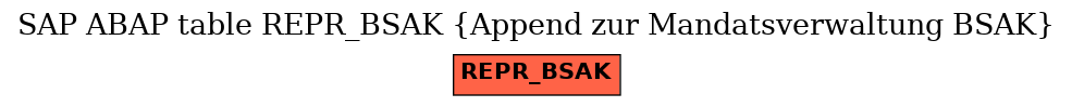 E-R Diagram for table REPR_BSAK (Append zur Mandatsverwaltung BSAK)