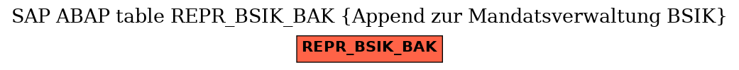 E-R Diagram for table REPR_BSIK_BAK (Append zur Mandatsverwaltung BSIK)