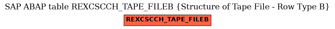 E-R Diagram for table REXCSCCH_TAPE_FILEB (Structure of Tape File - Row Type B)